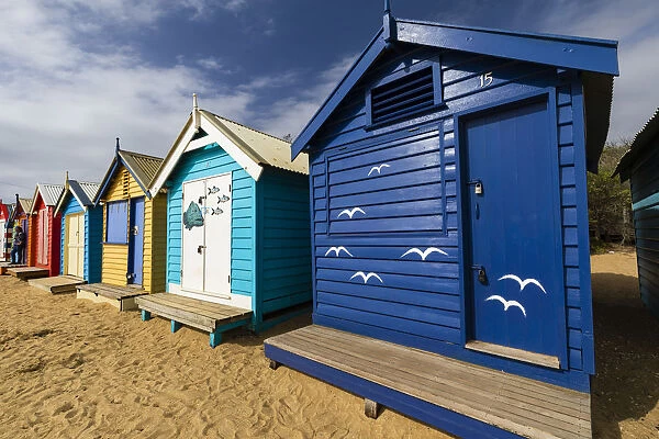 The colourful Brighton Bathing Boxes located on Middle Brighton Beach, Brighton