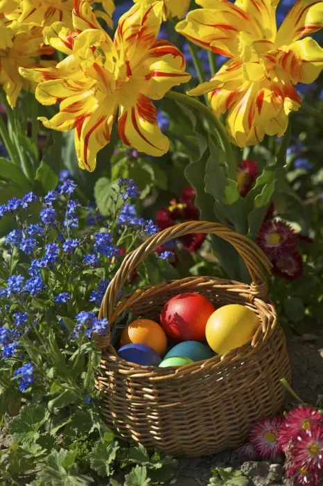 Framed Print : Colourful easter eggs in a basket Framed Print : Colourful easter eggs in a basket