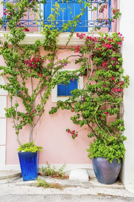 Framed Print : Colourful facade, Assos, Kefalonia, Ionian Islands, Greek Islands, Greece