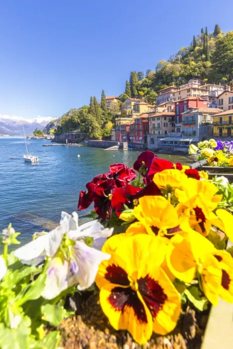 Framed Print : Colourful flowering on the lake. Varenna, Province of Lecco, Como Lake, Lombardy, Italy