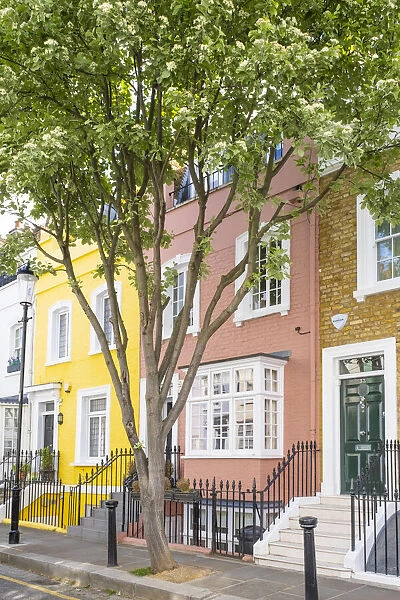 Colourful houses in Chelsea, London, England, UK