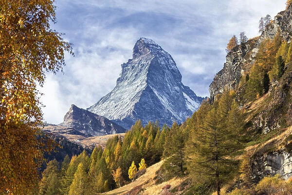 Colourful trees in autumn with Matterhorn in the background