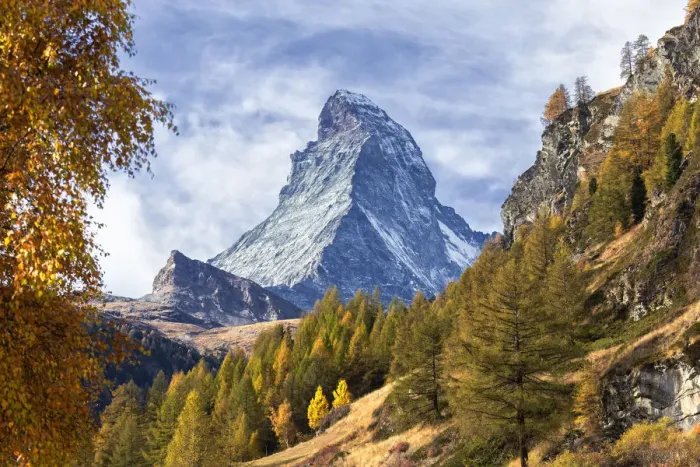 Framed Print : Colourful trees in autumn with Matterhorn in the background Framed Print : Colourful trees in autumn with Matterhorn in the background