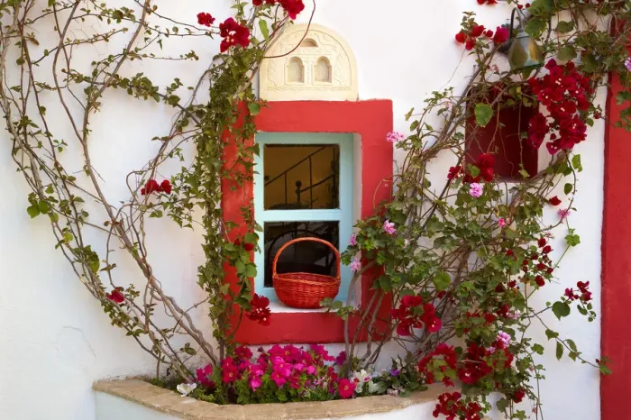 Framed Print : Colourful Window Detail, Oia, Santorini, Greece