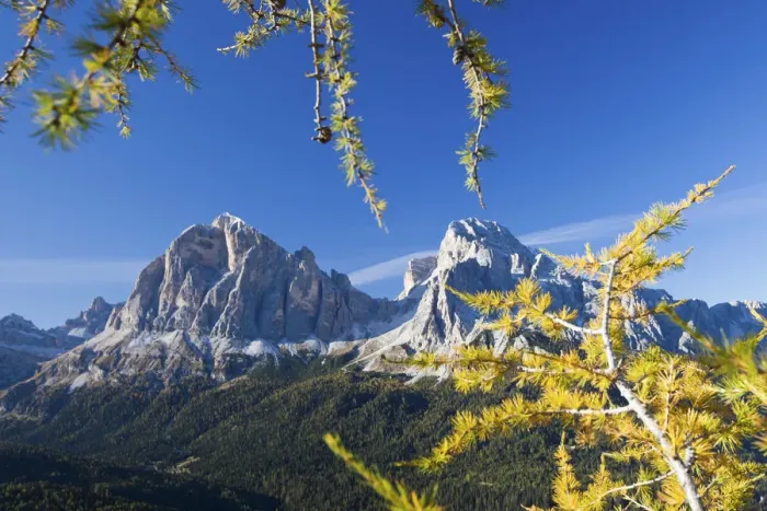Framed Print : The colours of the autumn are embracing the Tofana di Rozes and the Tofana di Mezzo Framed Print : The colours of the autumn are embracing the Tofana di Rozes and the Tofana di Mezzo