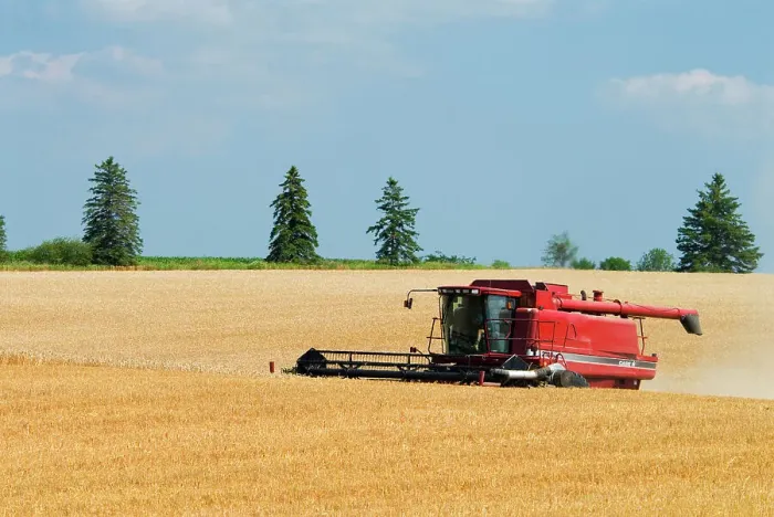 Framed Print : Combine harvesting winter wheat near Thornton, Ontario, Canada