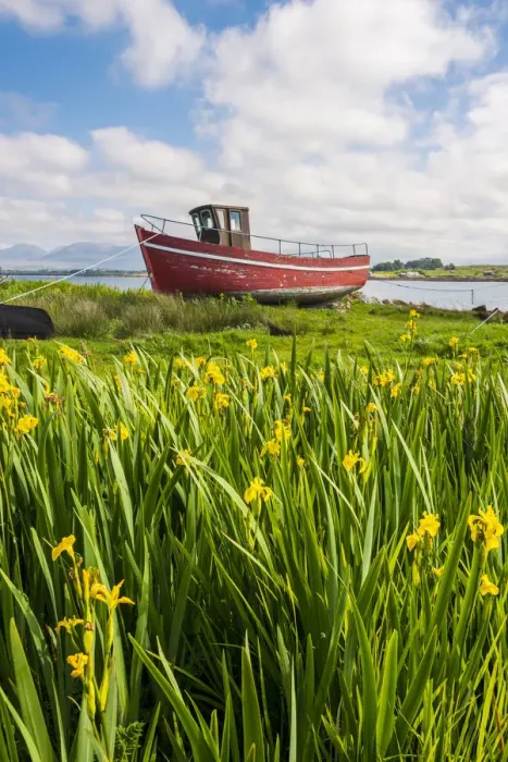 Framed Print : Connemara, County Galway, Connacht province, Republic of Ireland, Europe Framed Print : Connemara, County Galway, Connacht province, Republic of Ireland, Europe