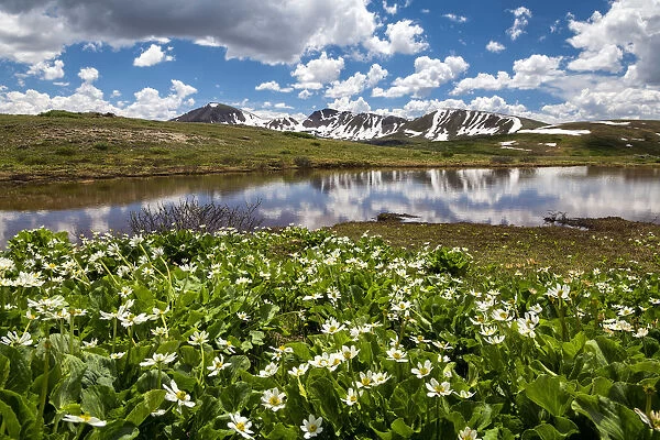 Continental Divide Reflecting in Alpine Lake, Independence Pass, Colorado, USA