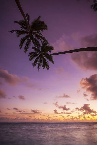 Cook Islands, Aitutaki Atoll, beach and palm trees silhouette