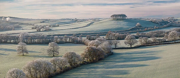 Cookworthy Knapp (Nearly Home Trees) on a frosty winter morning, Lifton, Devon, England. Winter (December) 2023