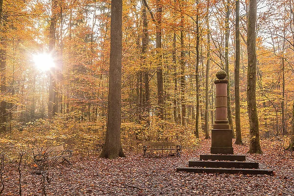 Copy of the Landgrave Column on Kirdorfer Allee (in the Great Tannenwald), Bad Homburg vor der Hohe, Taunus, Hesse, Germany