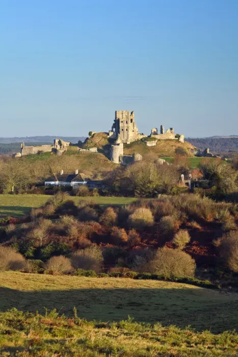 Framed Print : Corfe Castle from Corfe Common, Ise of Purbeck, Dorset, England