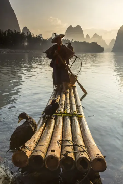 Framed Print : Cormorant fisherman throwing net on Li River at dawn, Xingping, Yangshuo, Guangxi, China Framed Print : Cormorant fisherman throwing net on Li River at dawn, Xingping, Yangshuo, Guangxi, China
