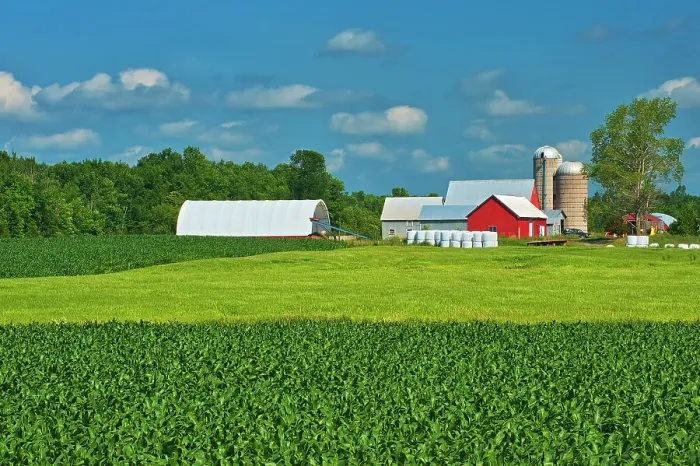 Framed Print : Corn field and red barn Monkland, Ontario, Canada