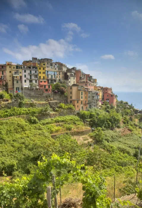 Framed Print : Corniglia, Cinque Terre, Riviera di Levante, Liguria, Italy Framed Print : Corniglia, Cinque Terre, Riviera di Levante, Liguria, Italy