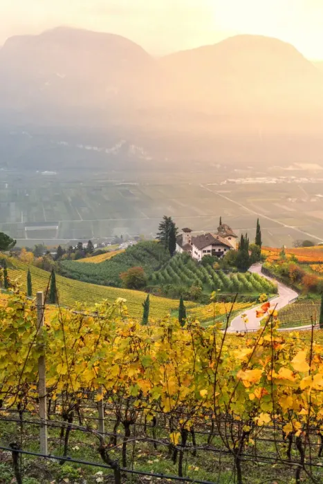 Framed Print : Cortaccia on the wine route Europe, Italy, Trentino Alto Adige, Souht Tyrol, Cortaccia Framed Print : Cortaccia on the wine route Europe, Italy, Trentino Alto Adige, Souht Tyrol, Cortaccia