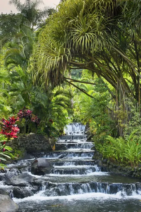 Framed Print : Costa Rica, Alajuela Province, La Fortuna, Tabacon Grand Spa Thermal Resort, Thermal Framed Print : Costa Rica, Alajuela Province, La Fortuna, Tabacon Grand Spa Thermal Resort, Thermal