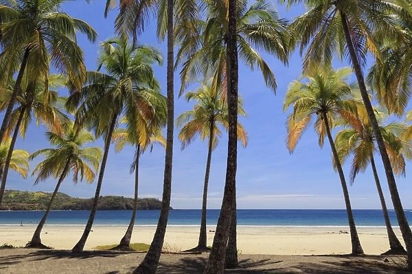Costa Rica, Guanacaste, Nicoya Peninsula, Nosara, Playa Carillo