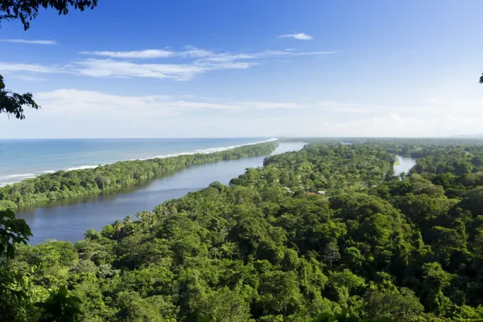 Framed Print : Costa Rica, Limon province, Limon, Tortuguero National Park, the Tortuguero river Framed Print : Costa Rica, Limon province, Limon, Tortuguero National Park, the Tortuguero river