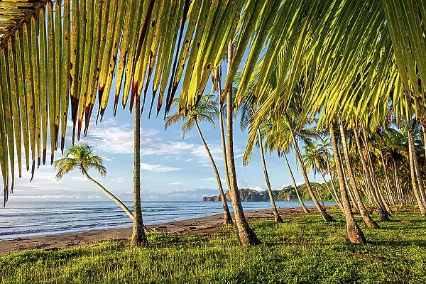 Costa Rica, Pacific coast, sunrise, Carillo beach, near Samara town