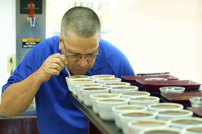 Framed Print : Costa Rica, San Marcos de Tarrazu, Coffee Cooperative, Professional Coffee Taster