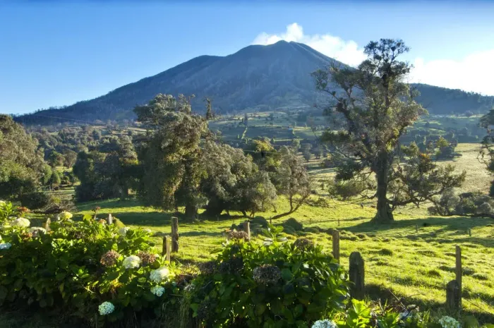 Framed Print : Costa Rica, Turrialba Volcano, Smoking Fumorales, Mountain Cloud Forest, Hedgerow Framed Print : Costa Rica, Turrialba Volcano, Smoking Fumorales, Mountain Cloud Forest, Hedgerow