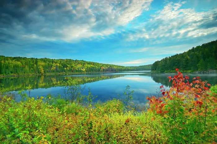 Framed Print : Costello Lake Algonquin Provincial Park, Ontario, Canada Framed Print : Costello Lake Algonquin Provincial Park, Ontario, Canada