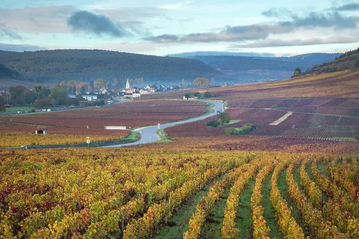 Framed Print : Cote de Beaune vineyards, Cote-d'Or, Burgundy, Bourgogne-Franche-Comte, France Framed Print : Cote de Beaune vineyards, Cote-d'Or, Burgundy, Bourgogne-Franche-Comte, France