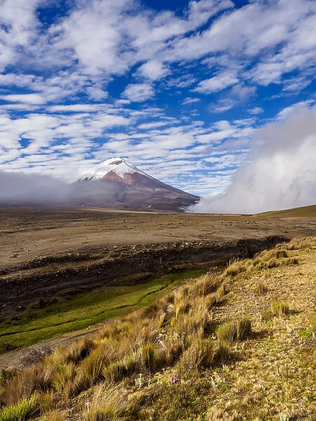 Cotopaxi Volcano, Cotopaxi National Park, Cotopaxi Province, Ecuador