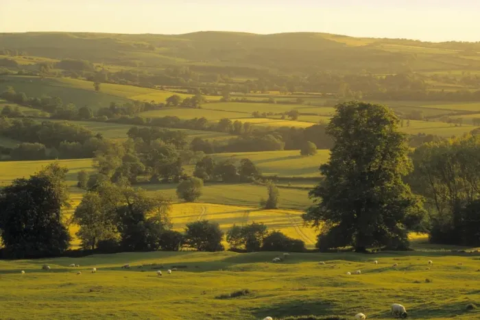 Framed Print : Cotswolds, England