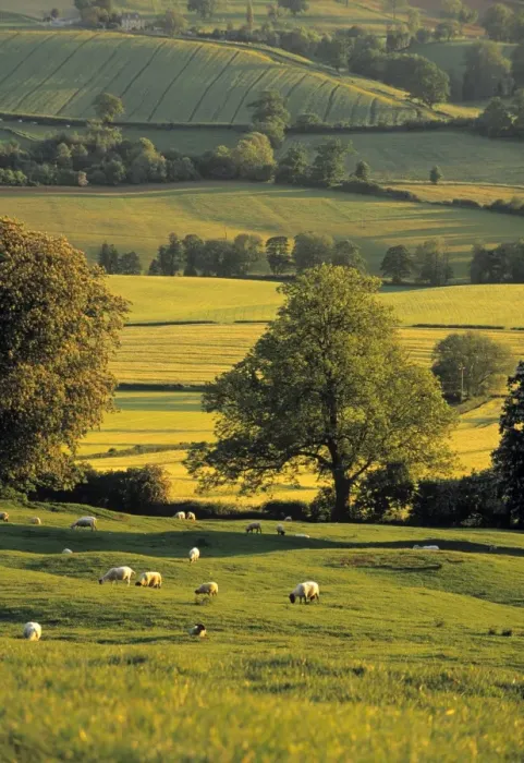 Framed Print : Cotswolds, England Framed Print : Cotswolds, England