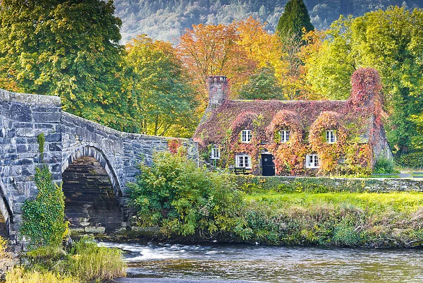 Cottage & Bridge in Autumn, LLyanwrst, Conwy, Wales