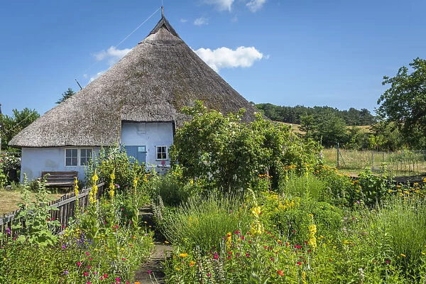 Cottage garden on Parish widow's house in Grosz Zicker, Ruegen Island, Mecklenburg-Western Pomerania, Germany, Europe