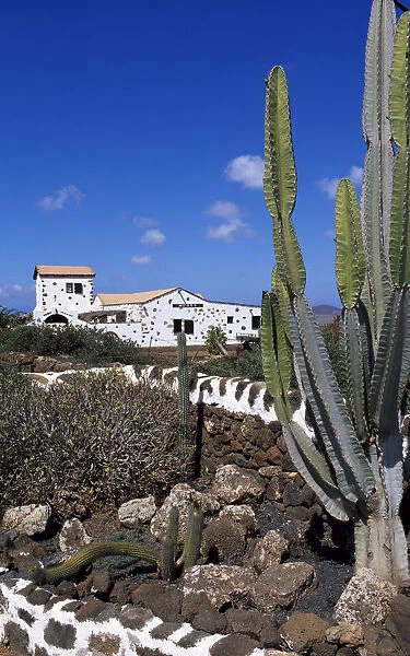 Cottage nearby Antigua, Fuerteventura, Canary Islands, Spain