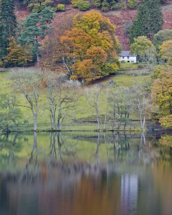Framed Print : Cottage Reflecting in Loughrigg Tarn in Autumn, Lake District National Park, Cumbria