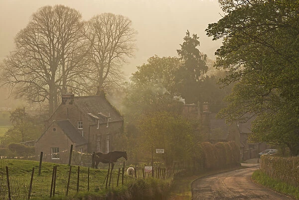 Cottages in the village of Chillingham on a misty Spring morning, Northumberland, England