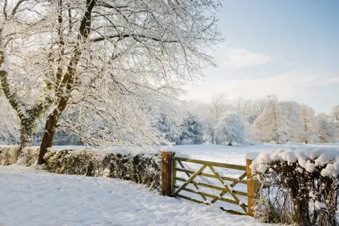 Framed Print : Country Gate in Winter, Norfolk, England Framed Print : Country Gate in Winter, Norfolk, England