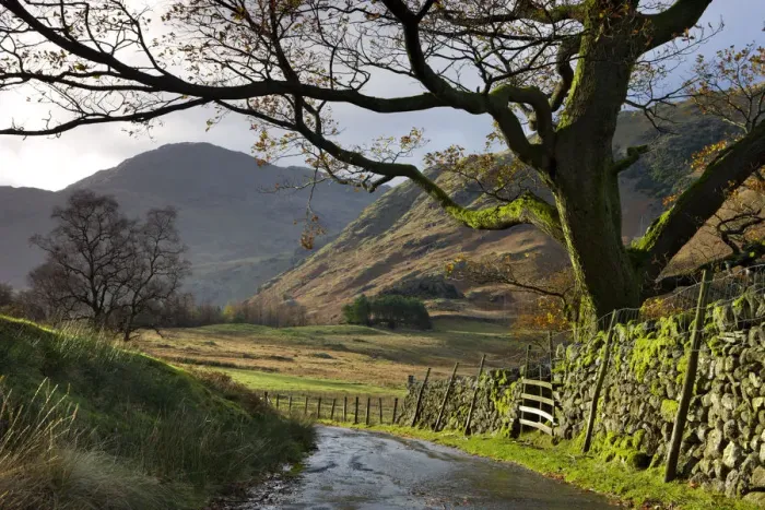 Framed Print : Country lane leading towards Blea Tarn in the Langdale Valley, Lake District National Framed Print : Country lane leading towards Blea Tarn in the Langdale Valley, Lake District National