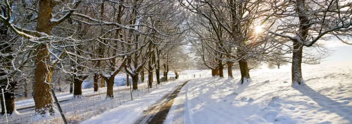 Framed Print : Country Lane in Winter, Melbury Deer Park, Dorset, England Framed Print : Country Lane in Winter, Melbury Deer Park, Dorset, England