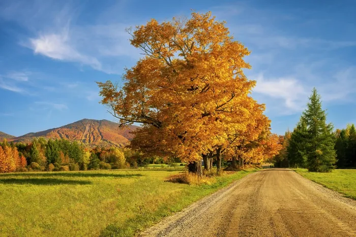Framed Print : Country road in autumn with Burke Mountain, Greem Mountains, Burke, Vermont, USA Framed Print : Country road in autumn with Burke Mountain, Greem Mountains, Burke, Vermont, USA