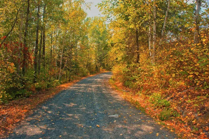 Framed Print : Country road in autumn colors near Middle Lake Kenora, Ontario, Canada Framed Print : Country road in autumn colors near Middle Lake Kenora, Ontario, Canada