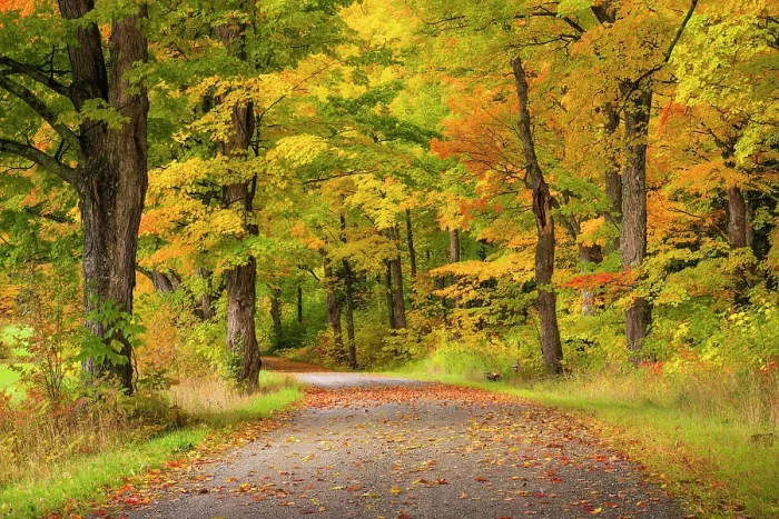 Framed Print : Country road in autumn, Green Mountains, Morristown, Vermont, USA Framed Print : Country road in autumn, Green Mountains, Morristown, Vermont, USA