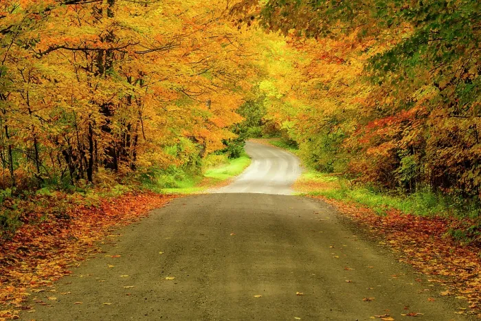 Framed Print : Country road in autumn, Northeast Kingdom, Greensboro, Vermont, USA Framed Print : Country road in autumn, Northeast Kingdom, Greensboro, Vermont, USA