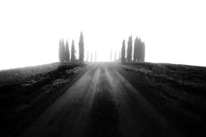 Framed Print : Country road covered with fog during autumn, Val d Orcia, Tuscany, Italy Framed Print : Country road covered with fog during autumn, Val d Orcia, Tuscany, Italy