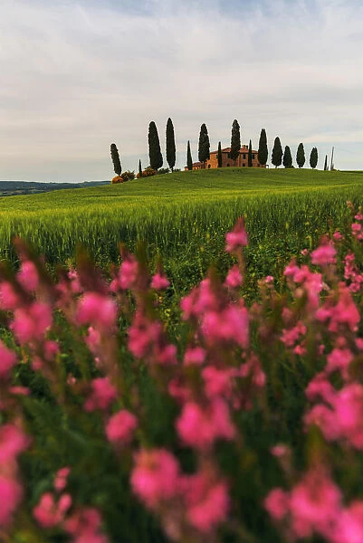 Countryhouse near Pienza during a cloudy sunset in spring, Val d Orcia, Tuscany