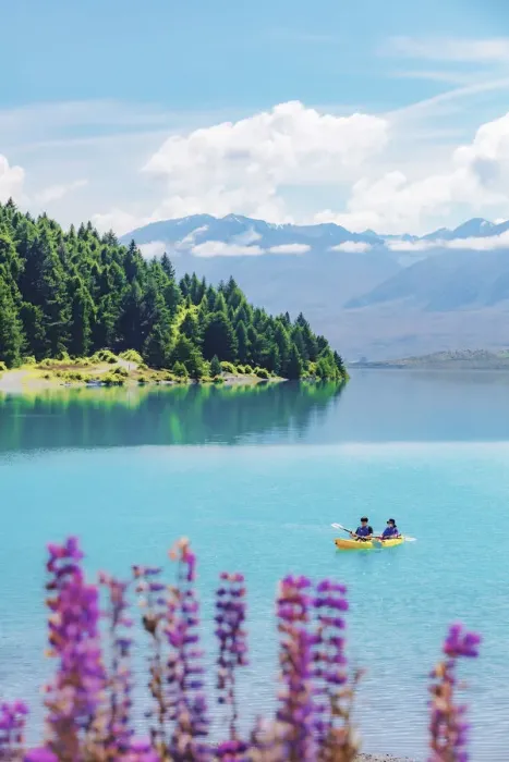Framed Print : A coupld of asiasn riding the kayak in Tekapo lake on a sunny day with lupins in bloom Framed Print : A coupld of asiasn riding the kayak in Tekapo lake on a sunny day with lupins in bloom