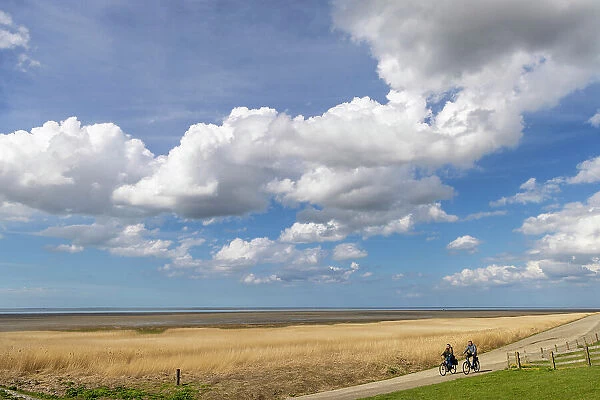 A couple cycle along a section of dyke along the Wadden sea in NW Friesland, Holland, Netherlands