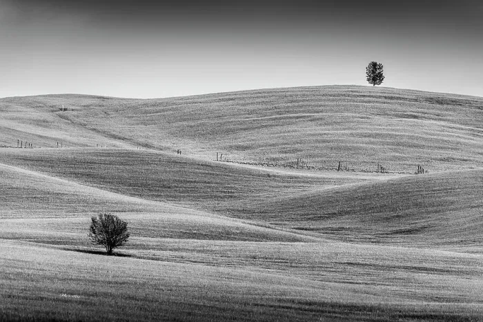 Framed Print : A couple of lonely trees stand out from the bare landscape among the rolling hills of Tuscany. Val d'Orcia, Italy Framed Print : A couple of lonely trees stand out from the bare landscape among the rolling hills of Tuscany. Val d'Orcia, Italy