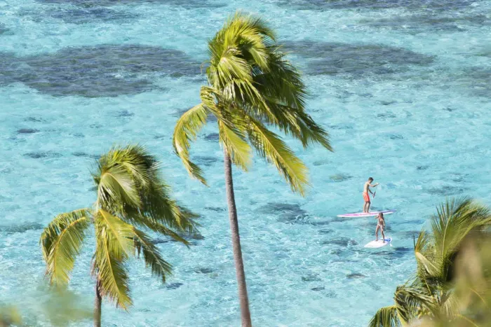 Framed Print : Couple paddleboarding in lagoon, Moorea, Society Islands, French Polynesia Framed Print : Couple paddleboarding in lagoon, Moorea, Society Islands, French Polynesia