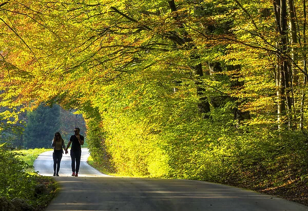 Couple Walking on Country Lane in Autumn, Plitvice National Park, Croatia